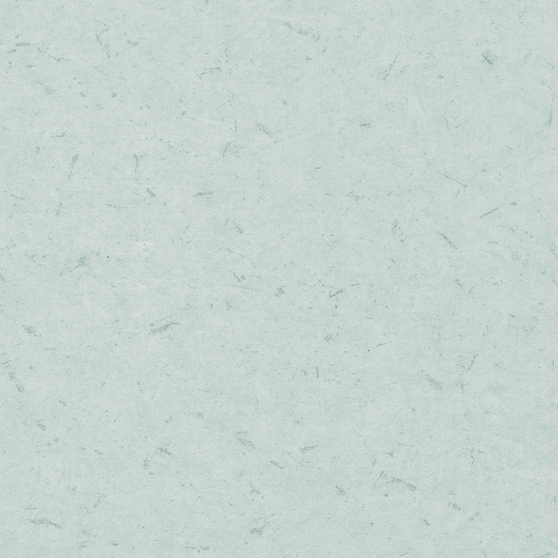 Anti-bacterial & anti-static heterogenea Tabulatum