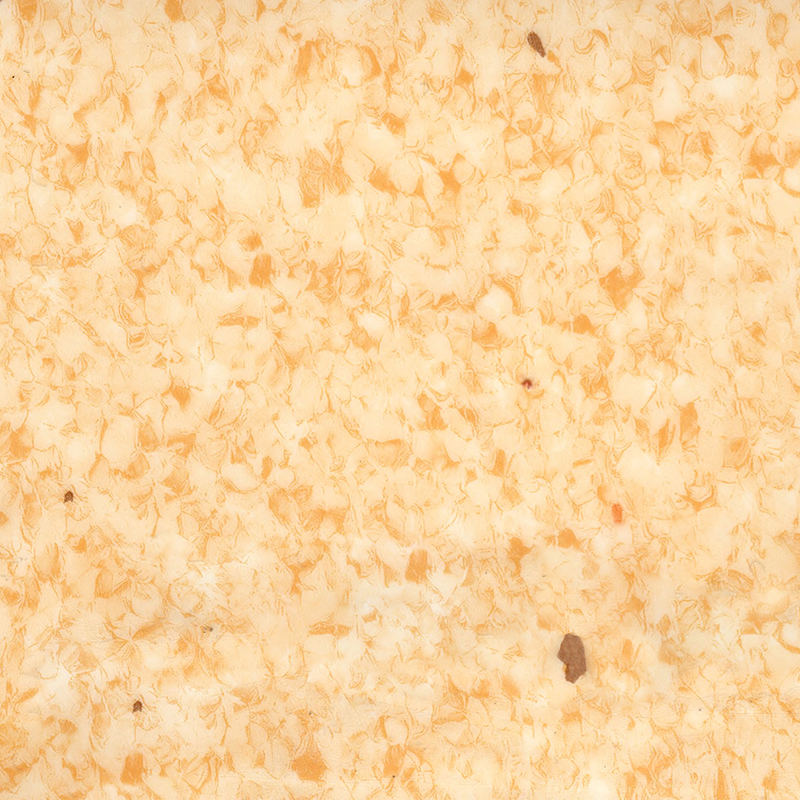 Princeps diuturnitatem & maculam repugnant heterogeneis contabulationem