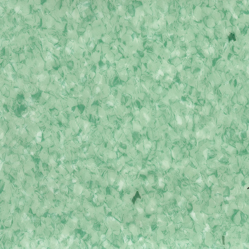 Princeps diuturnitatem & maculam repugnant heterogeneis contabulationem