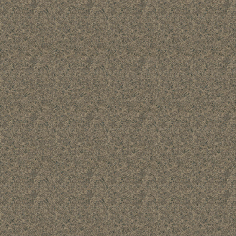 3D Stone tactus style tabulatum heterogeneum