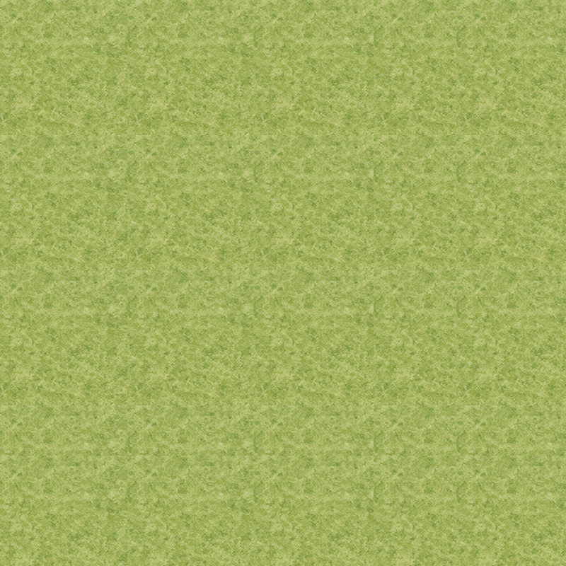 3D Stone tactus style tabulatum heterogeneum