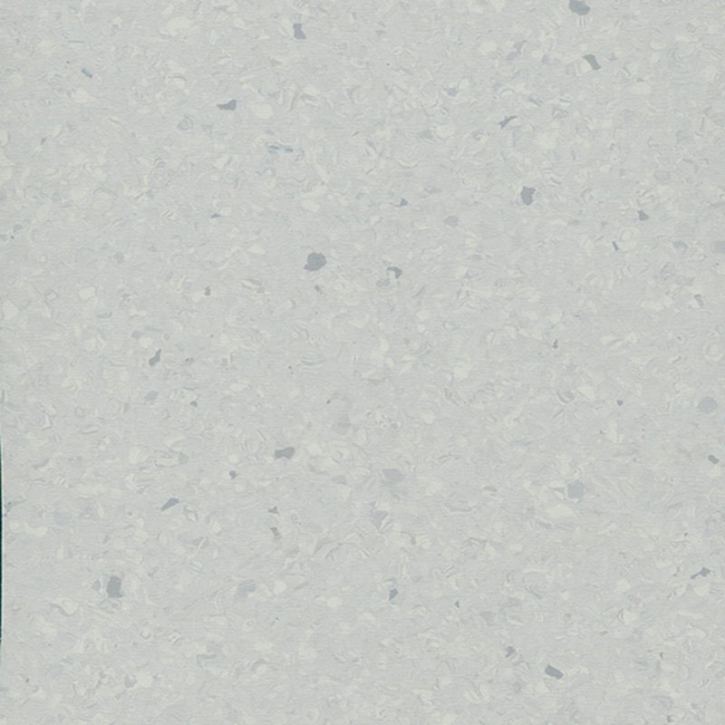 Multicolor homogenea tabulata