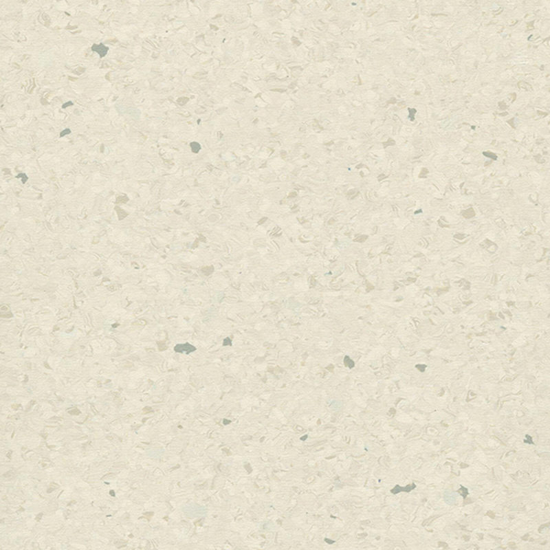 Multicolor homogenea tabulata