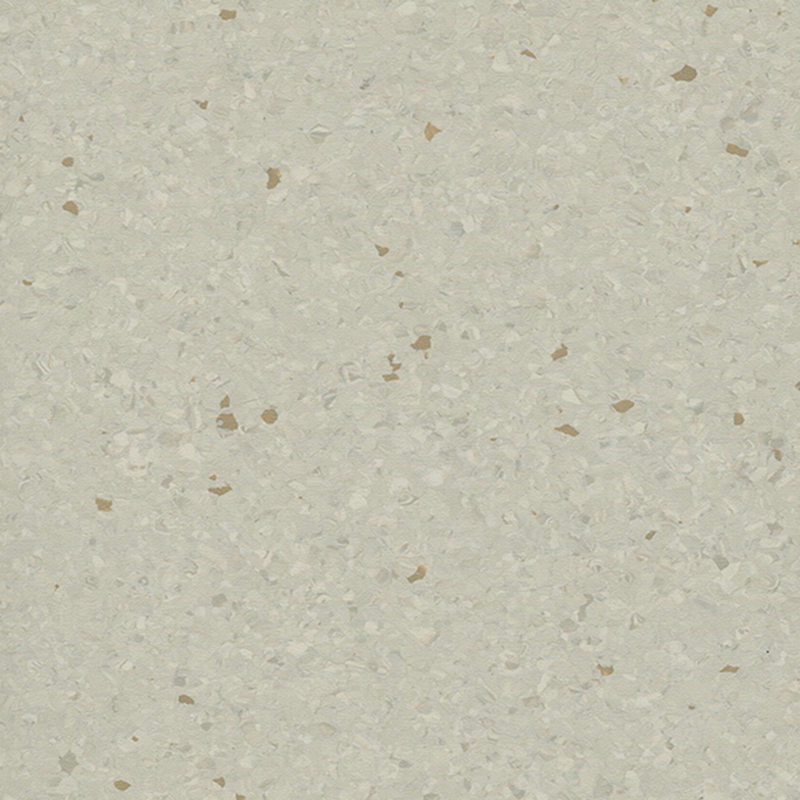 Multicolor homogenea tabulata