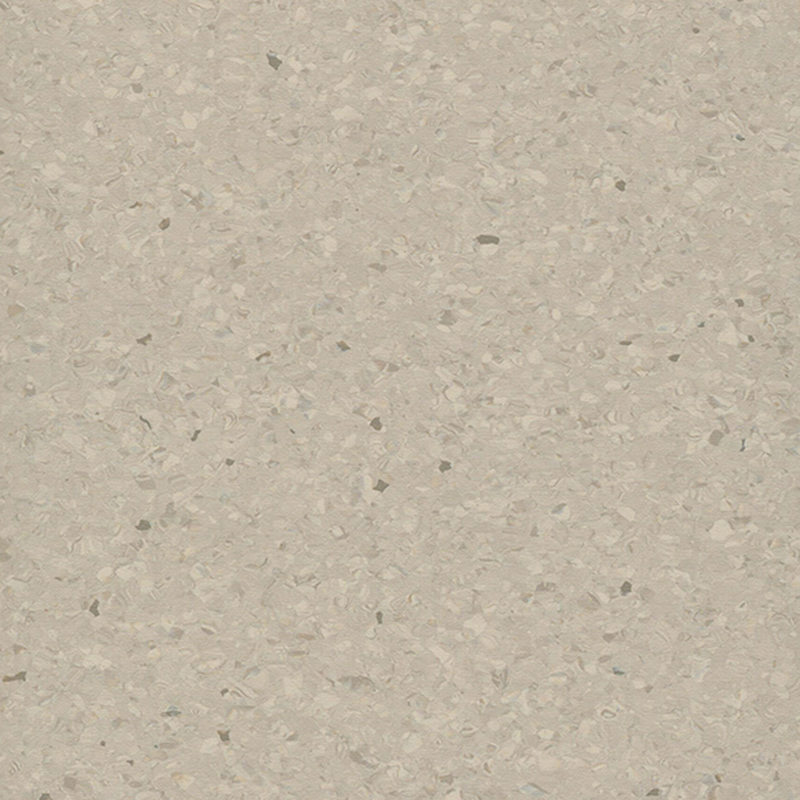 Multicolor homogenea tabulata