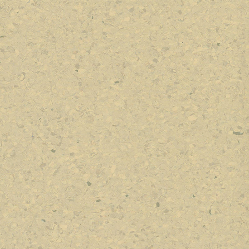 Multicolor homogenea tabulata