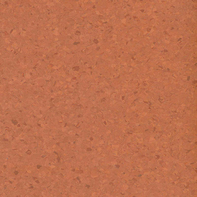 Multicolor homogenea tabulata