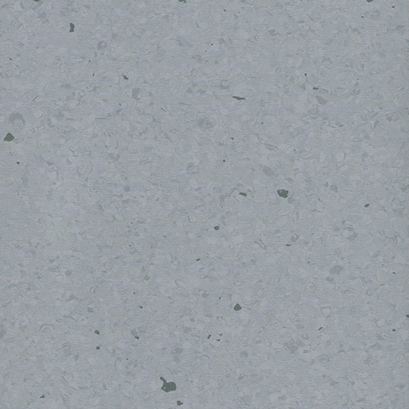 Multicolor homogenea tabulata