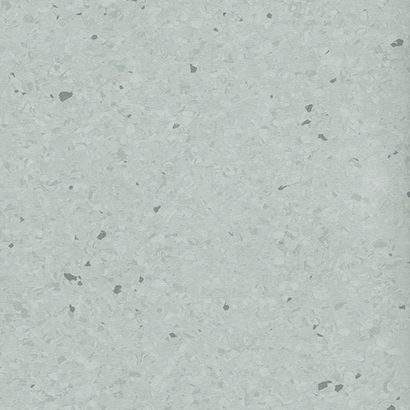 Multicolor homogenea tabulata