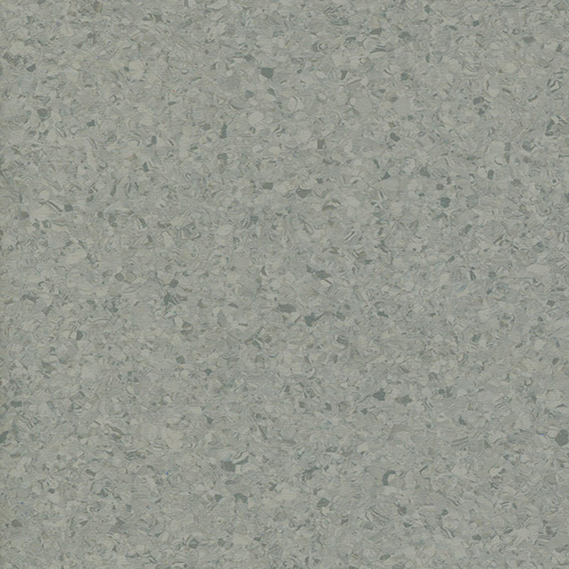 Multicolor homogenea tabulata