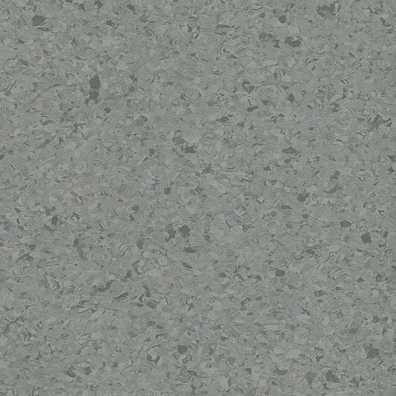 Multicolor homogenea tabulata