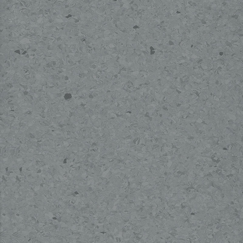 Multicolor homogenea tabulata