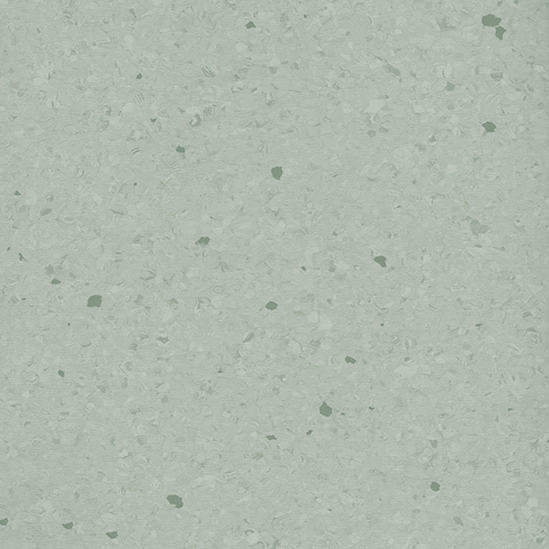 Multicolor homogenea tabulata