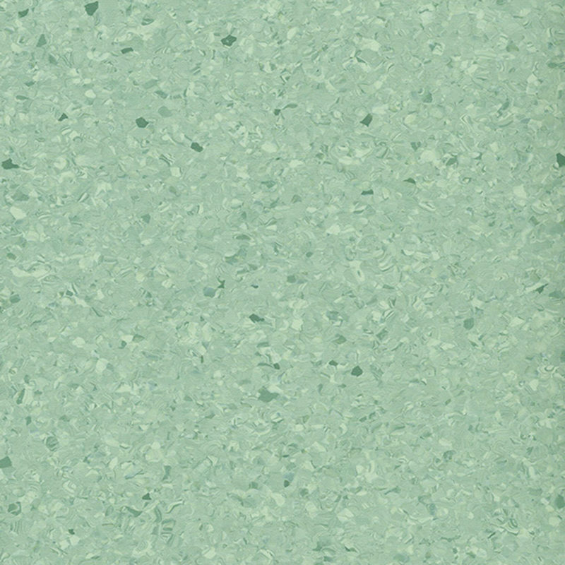 Multicolor homogenea tabulata