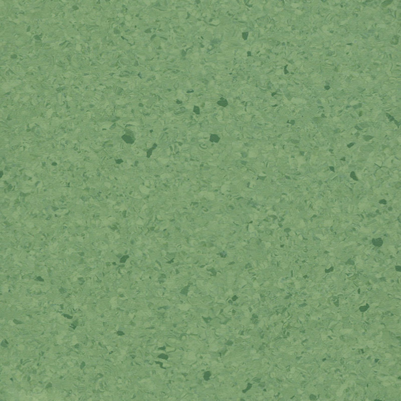 Multicolor homogenea tabulata