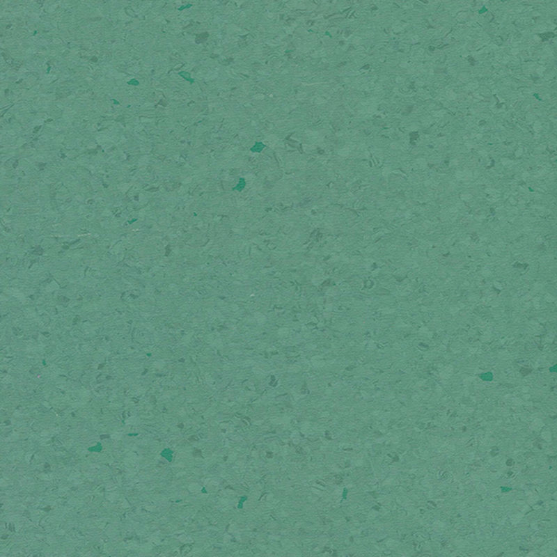 Multicolor homogenea tabulata