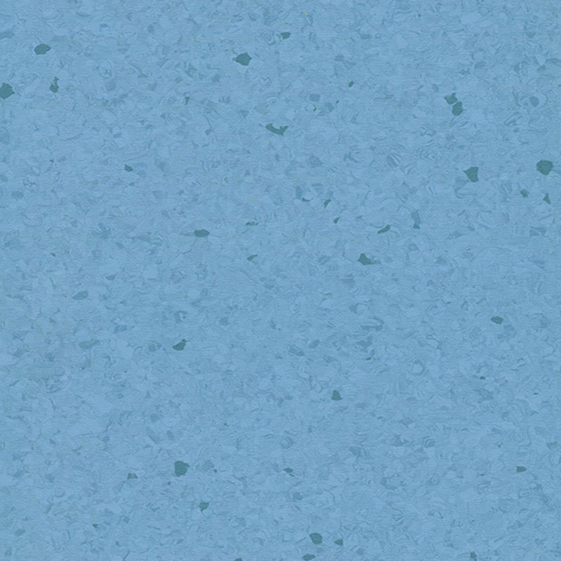 Multicolor homogenea tabulata