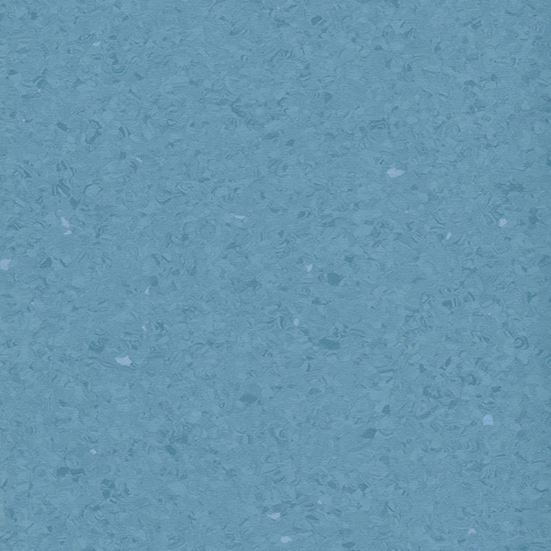 Multicolor homogenea tabulata