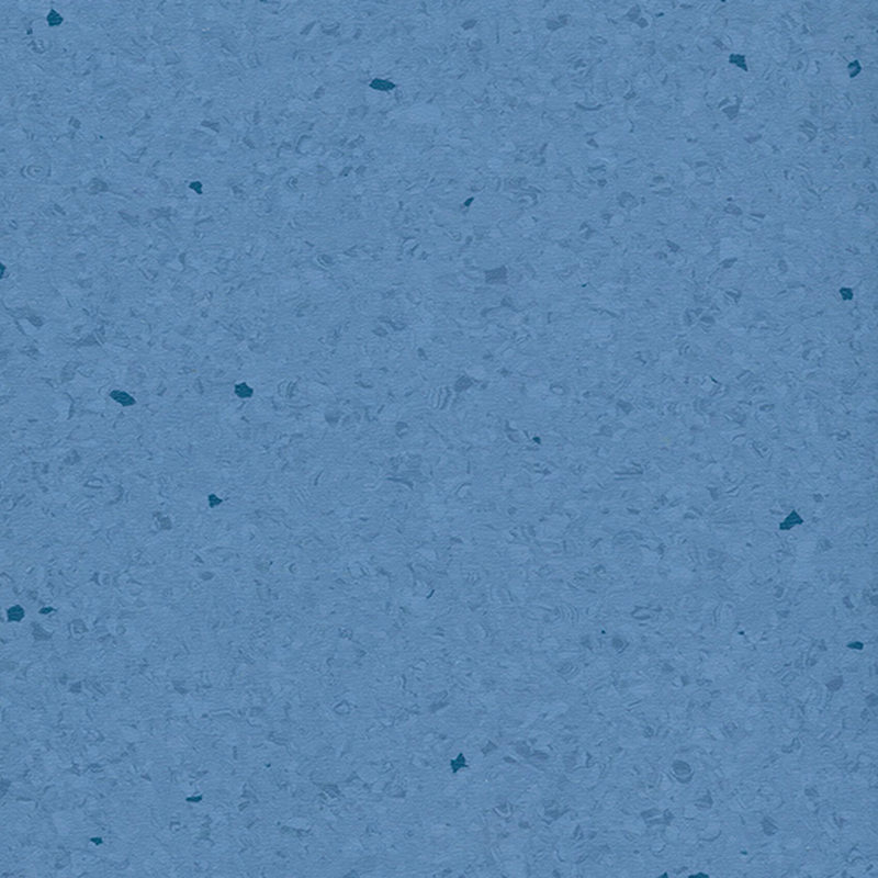 Multicolor homogenea tabulata