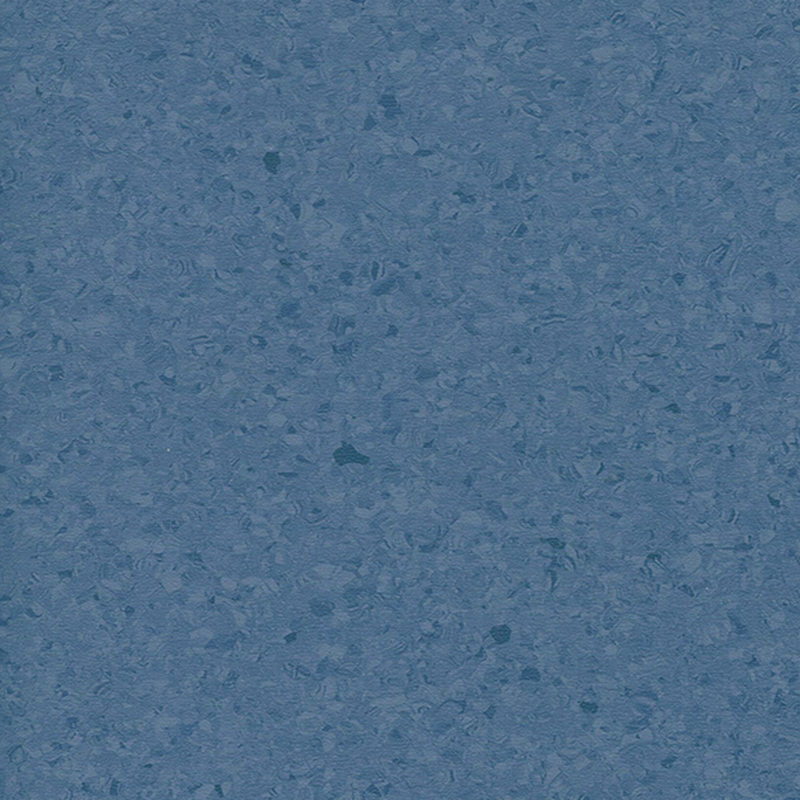 Multicolor homogenea tabulata