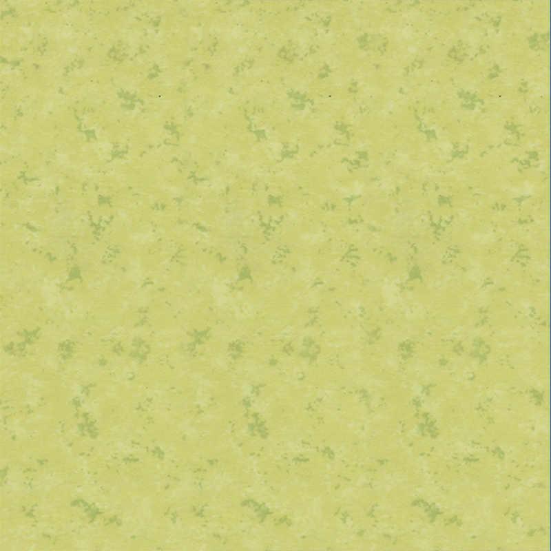 Fireproof and anti-lapsum ornamentum PVC cladding parietum interiorum