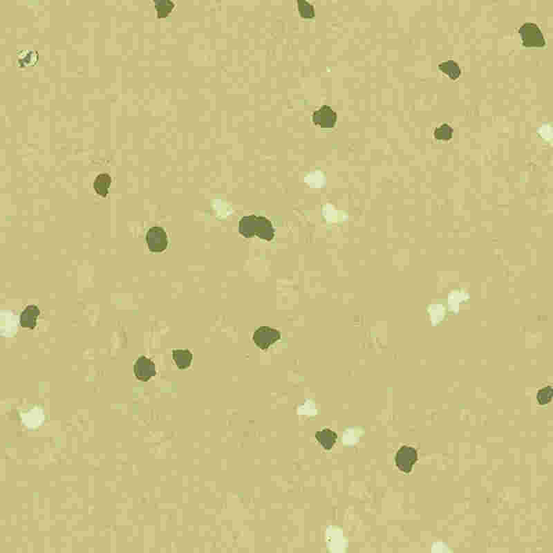 Scalpe-probationem & altam elasticitatem Flexilis Tabulatum