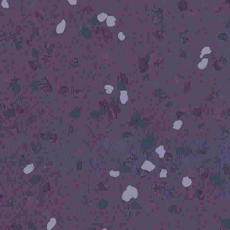 Scalpe-probationem & altam elasticitatem Flexilis Tabulatum