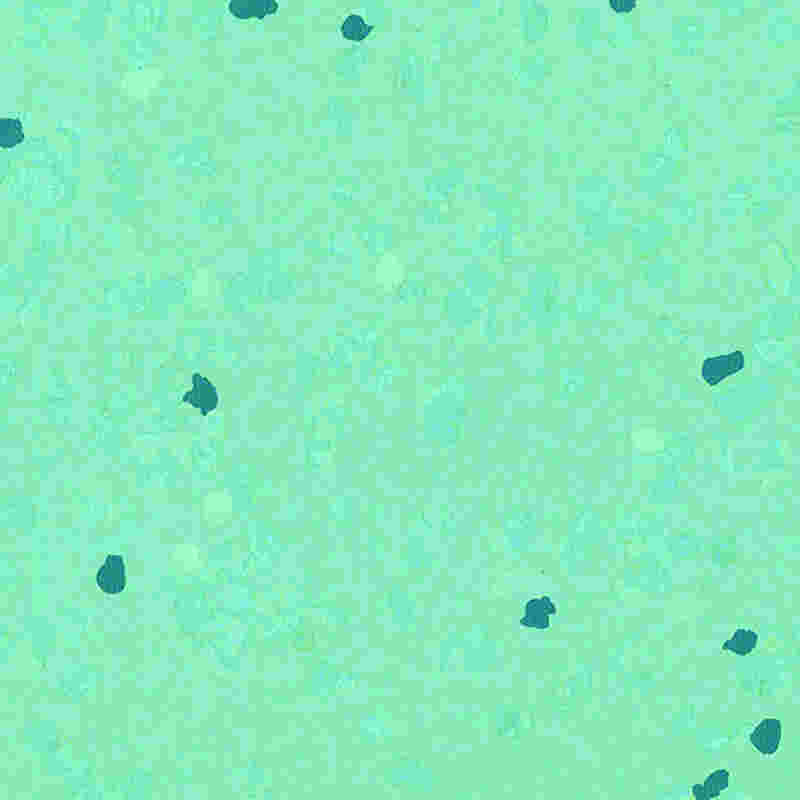 Scalpe-probationem & altam elasticitatem Flexilis Tabulatum