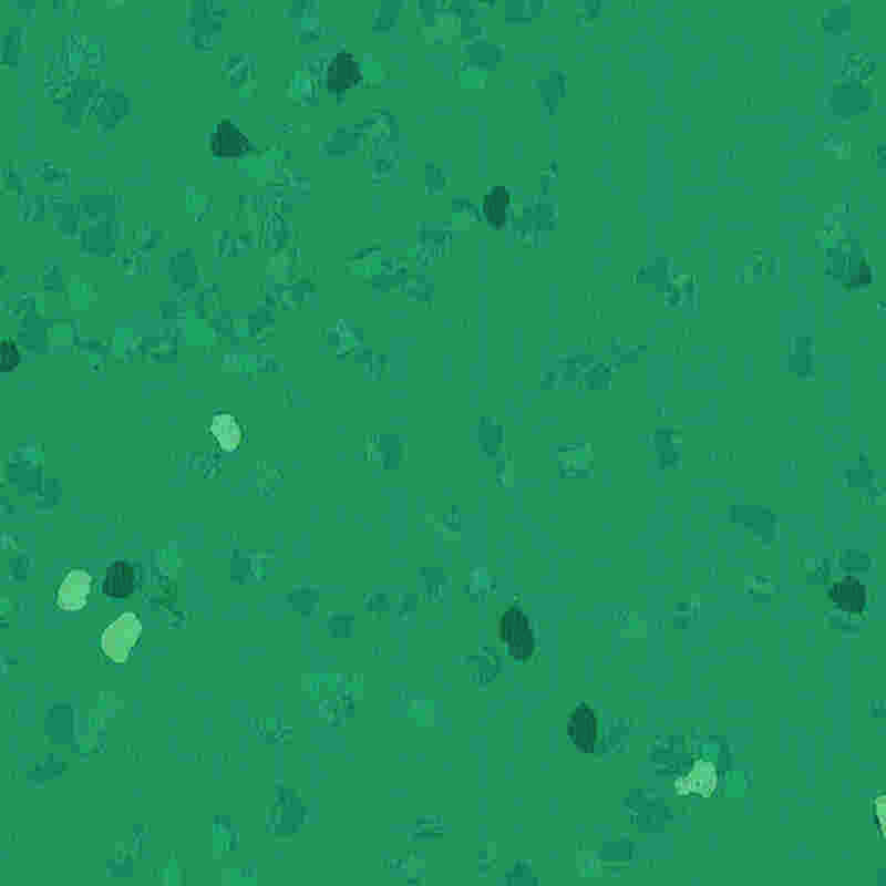 Scalpe-probationem & altam elasticitatem Flexilis Tabulatum