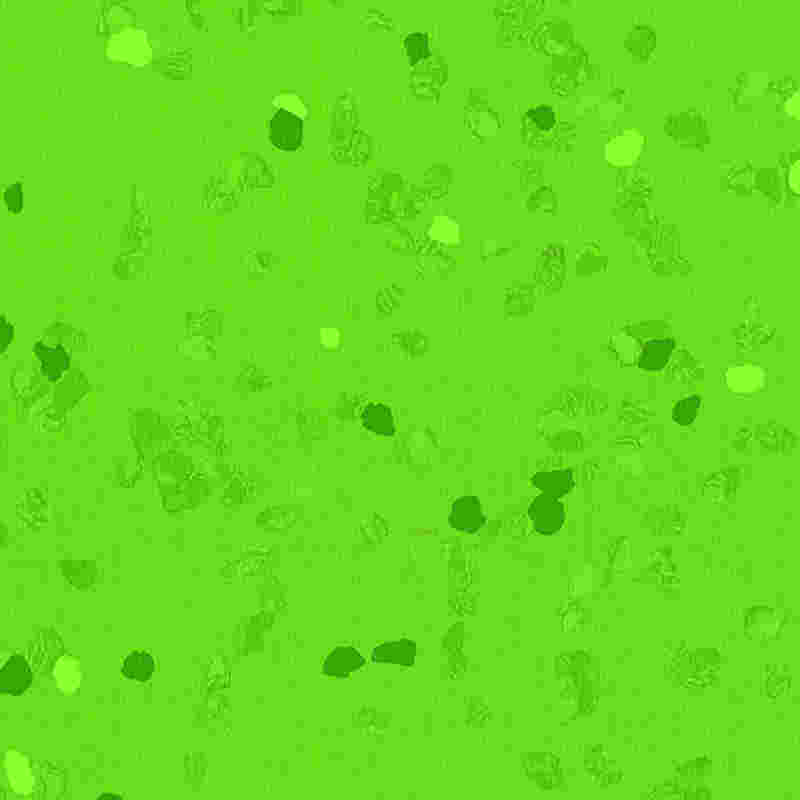 Scalpe-probationem & altam elasticitatem Flexilis Tabulatum