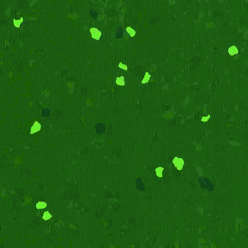 Scalpe-probationem & altam elasticitatem Flexilis Tabulatum