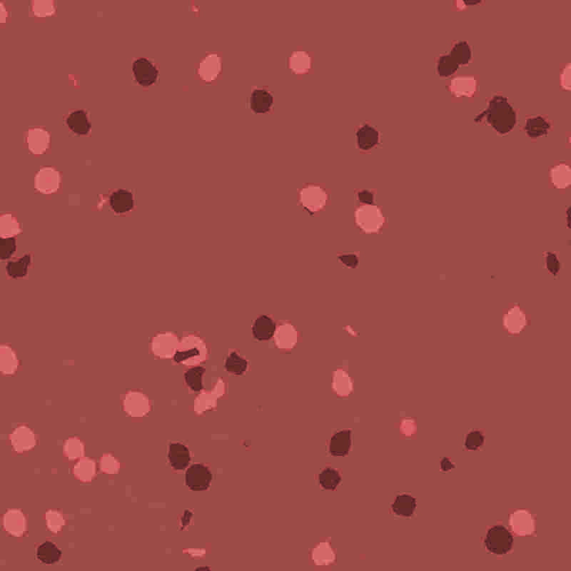 Flamma retardant et aqua probationem rubber & plastic contabulationem