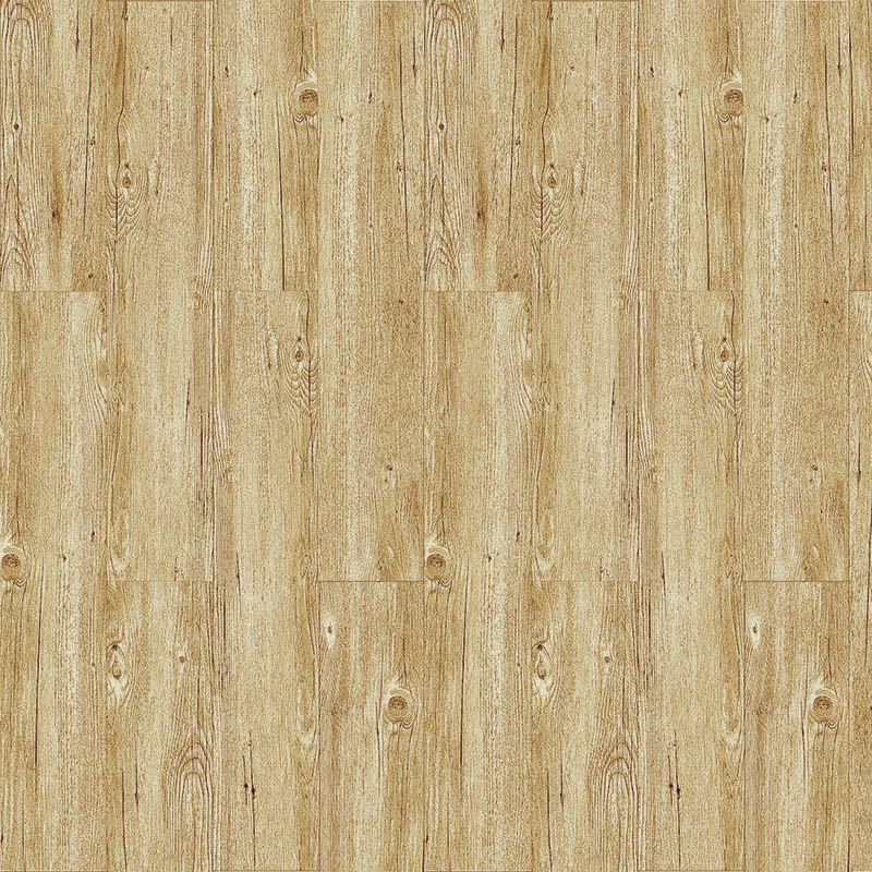 Sonitus reductionis & traditionis orientalis SPC clausum tabulatum