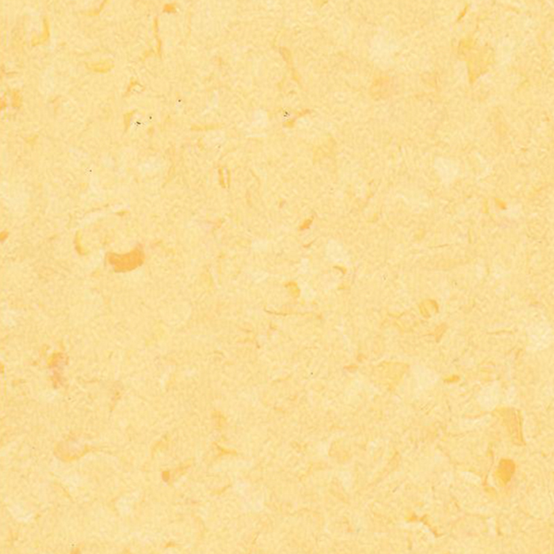 Nova et elegans homogenea tabulata