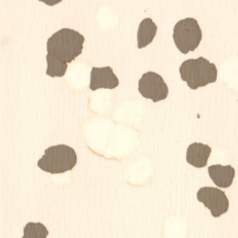 Anti-praetermisissent & scabere repugnans Flexilis Tabulatum