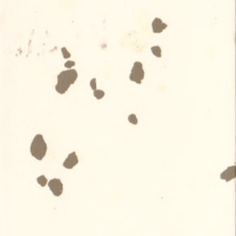 Environmental Flexilis Tabulatum